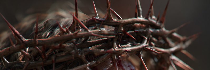 __V_12's profile banner image