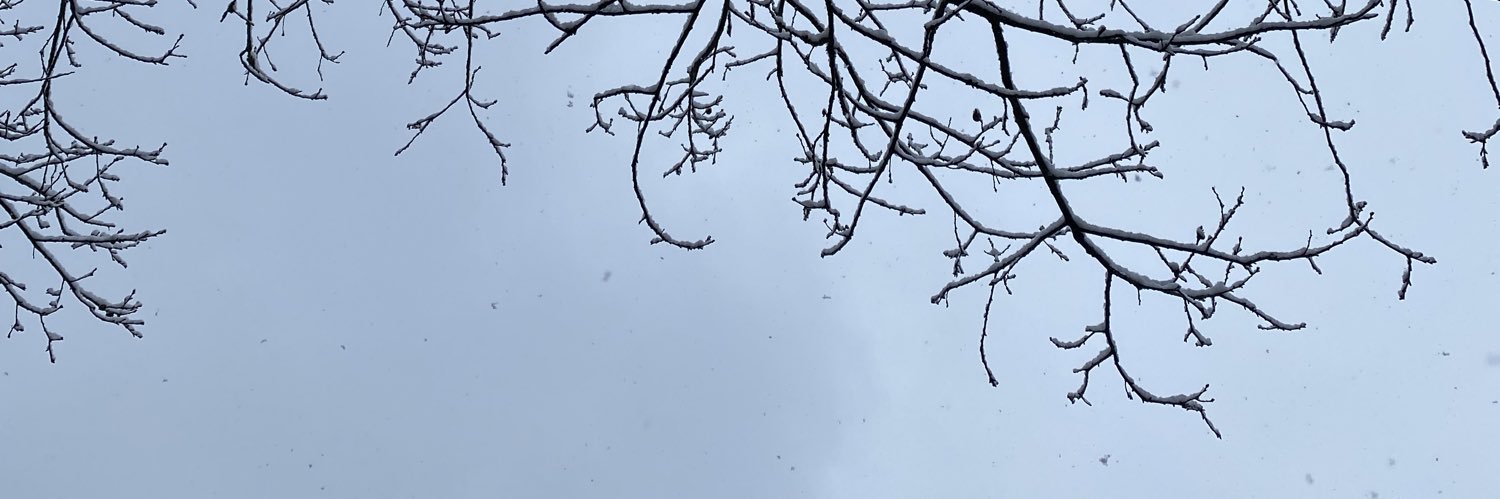 Hellawyn's profile banner image