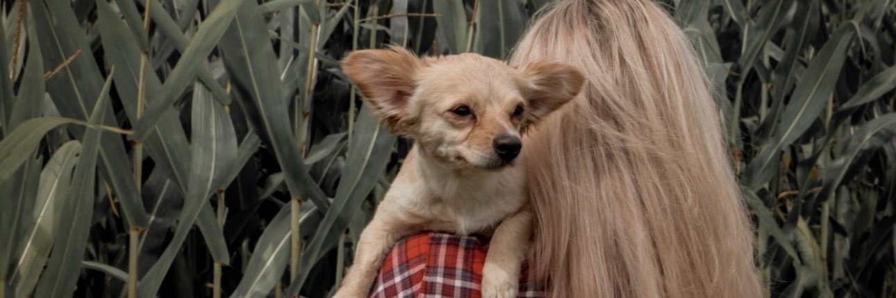 Hailey_Shue's profile banner image