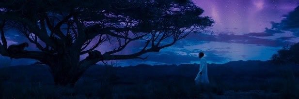 sweetncoco's profile banner image