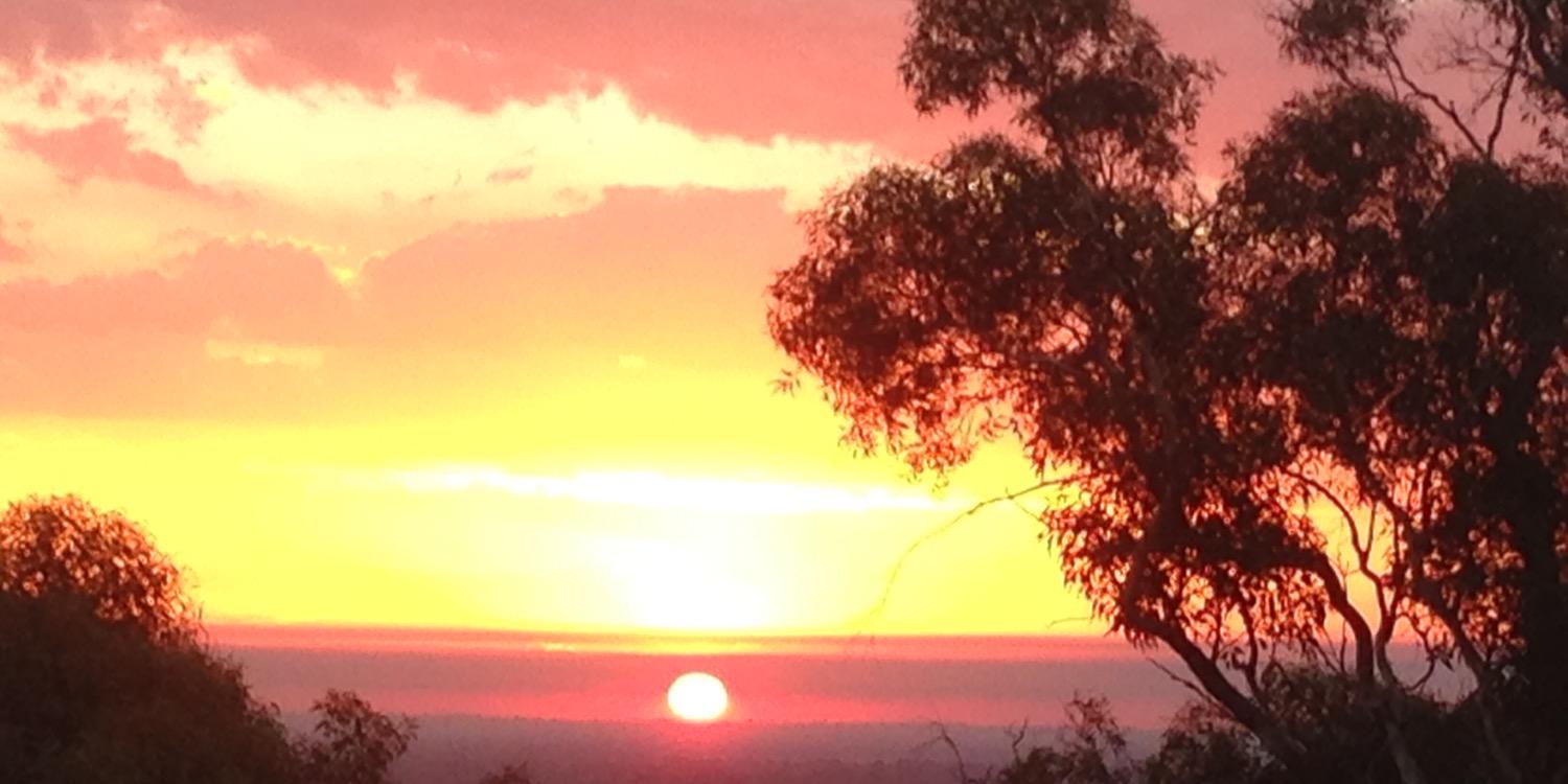 mrsrosman's profile banner image