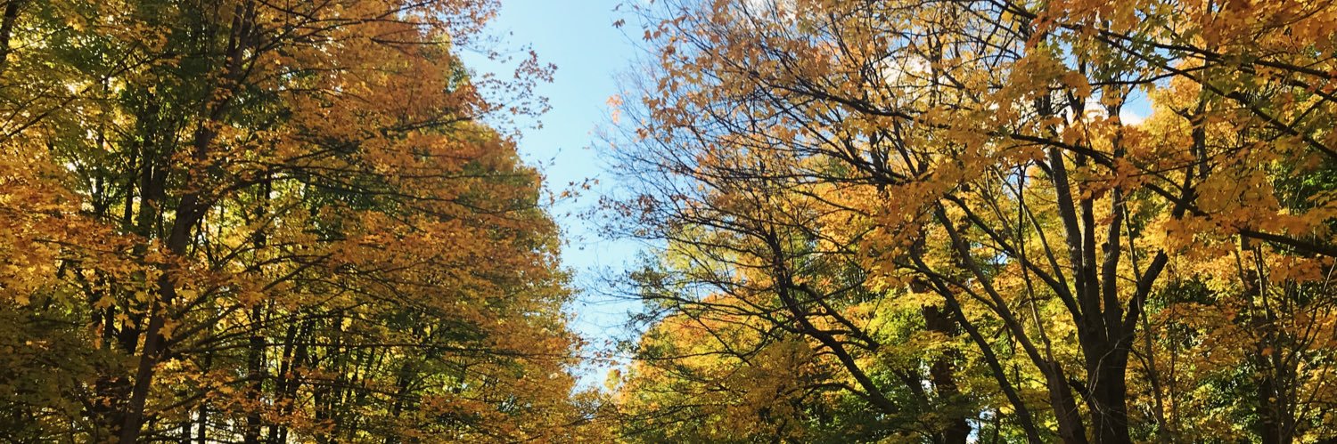 lyss_kli's profile banner image