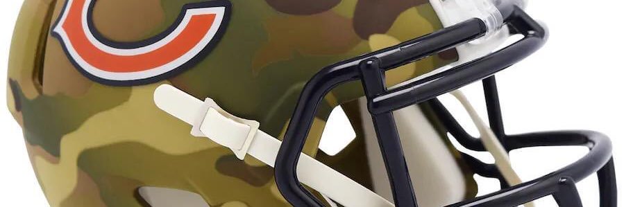 bearsfantwigg's profile banner image