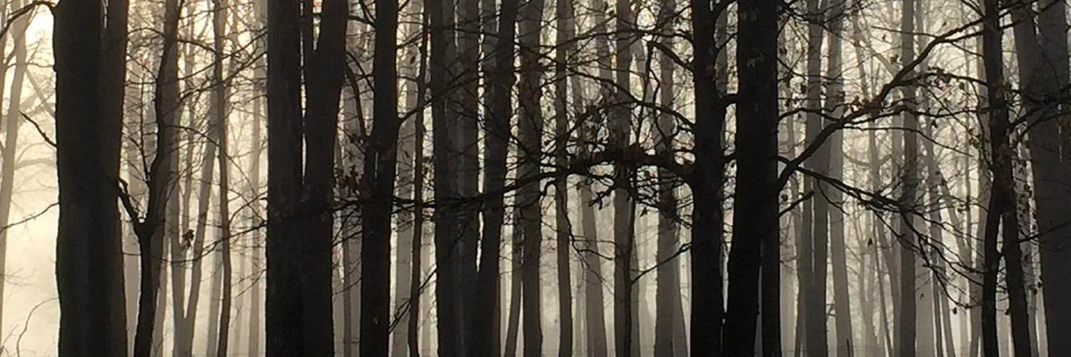 rmecker3's profile banner image