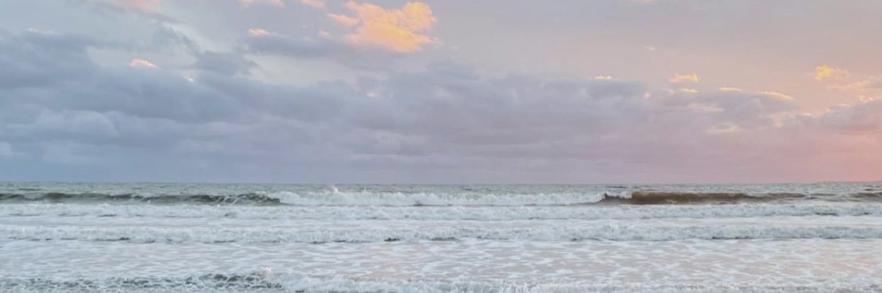 taylorapace's profile banner image