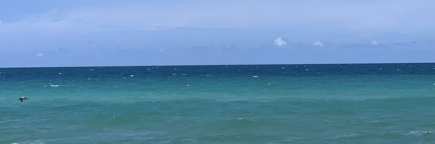 DrLauraPulmCC's profile banner image