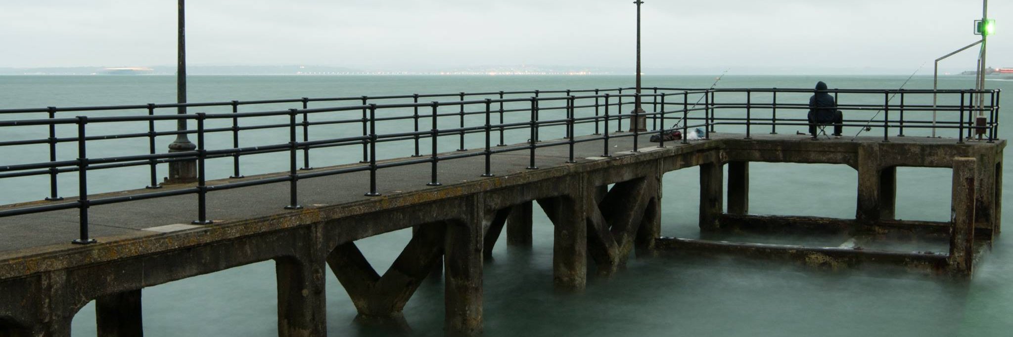 Amy Wilton banner