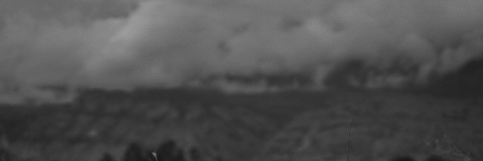 rendanlovell's profile banner image