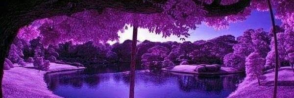 ♓Sonja McCoy♓ banner