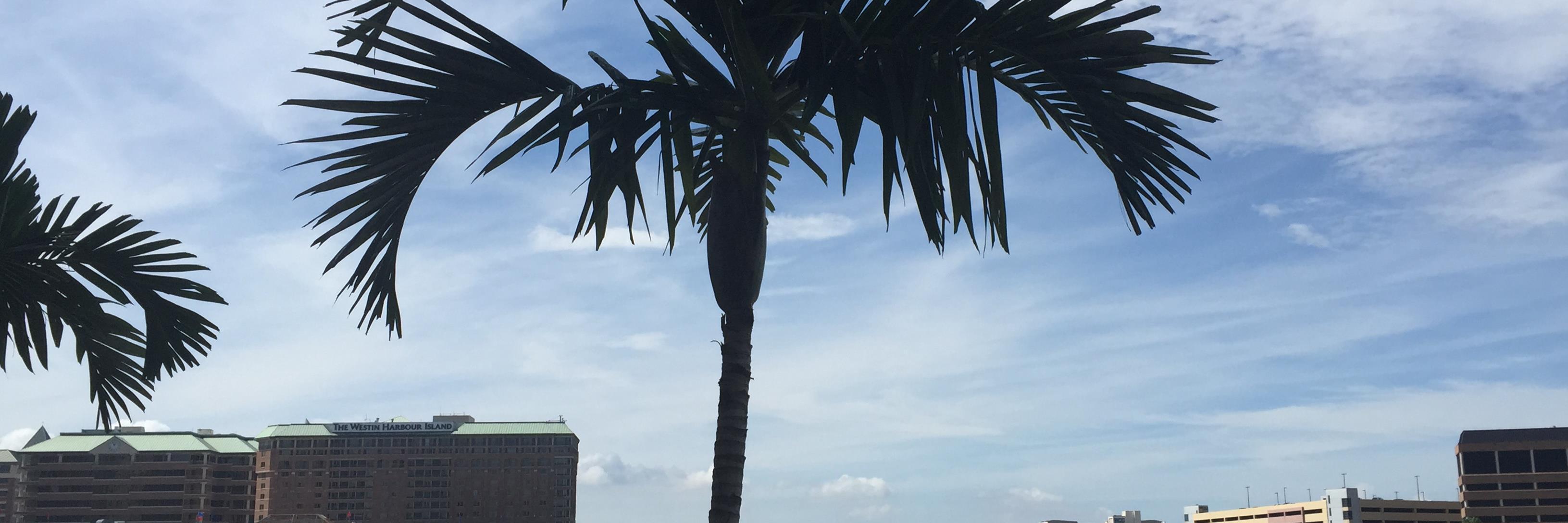 Dwayne Snowden banner