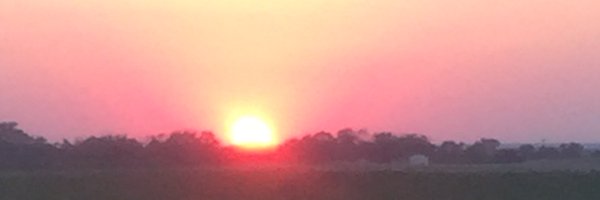 traborbauer Profile Banner