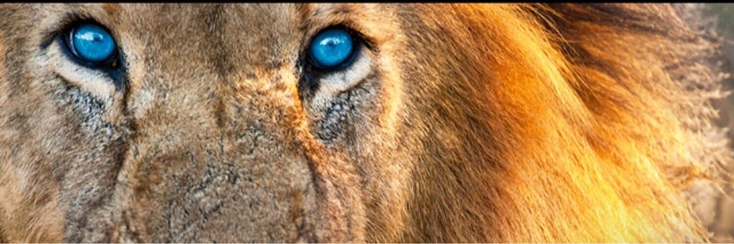 AdrianCF21's profile banner image