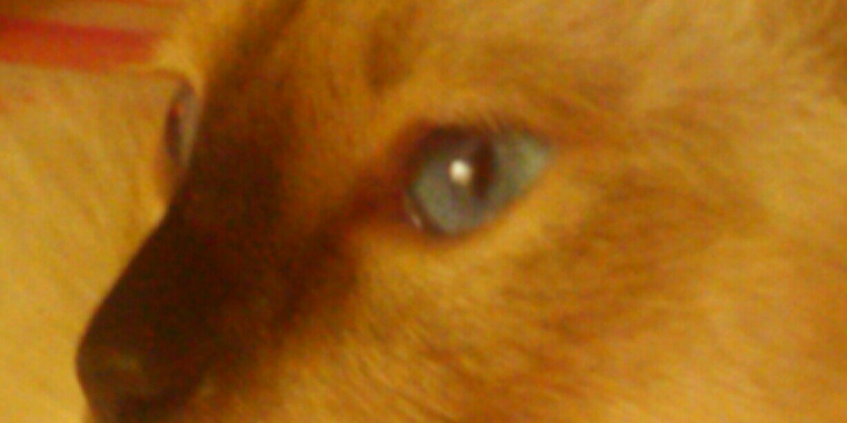 IsaMar102's profile banner image