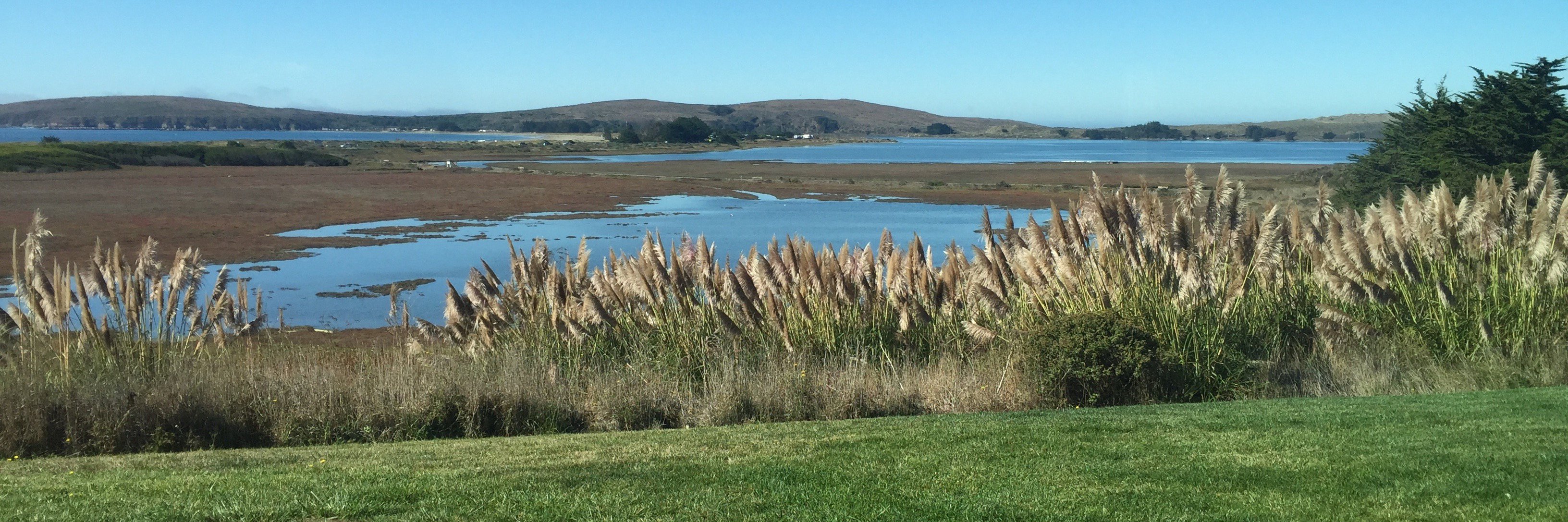 Nicole Stanton banner