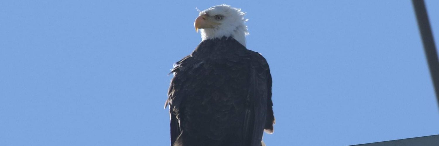 QuigleyKevin's profile banner image