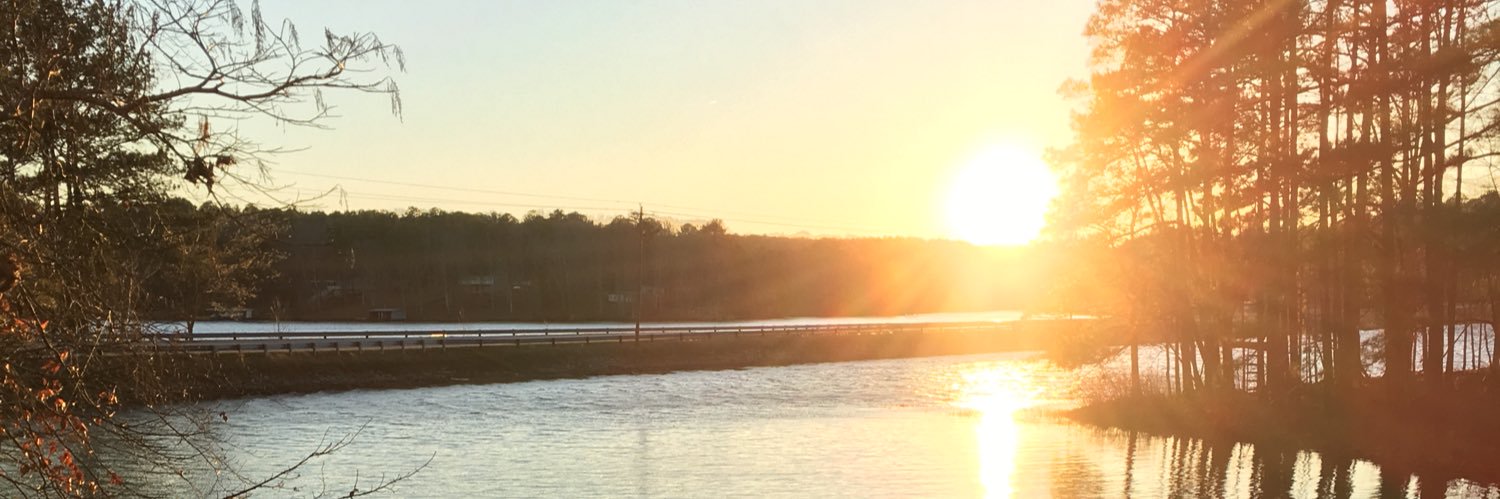 PopeNicholasVI's profile banner image