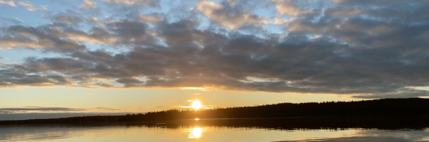 fionz02's profile banner image