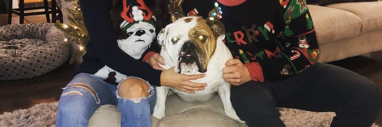 bailey_pierson1's profile banner image