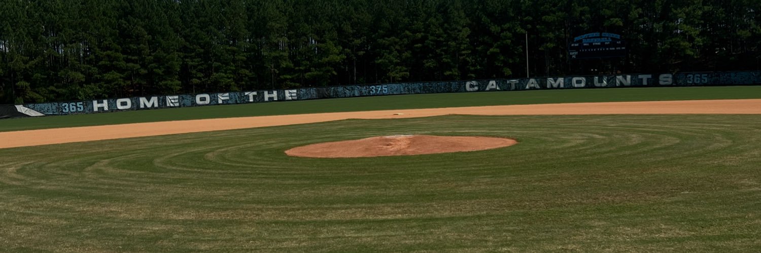 Panther Creek Baseball banner