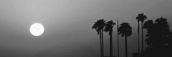 OrneFasano's profile banner image