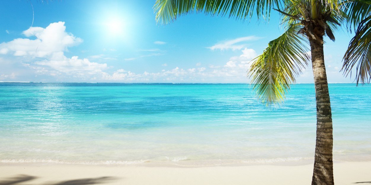 MikeyHasWings's profile banner image