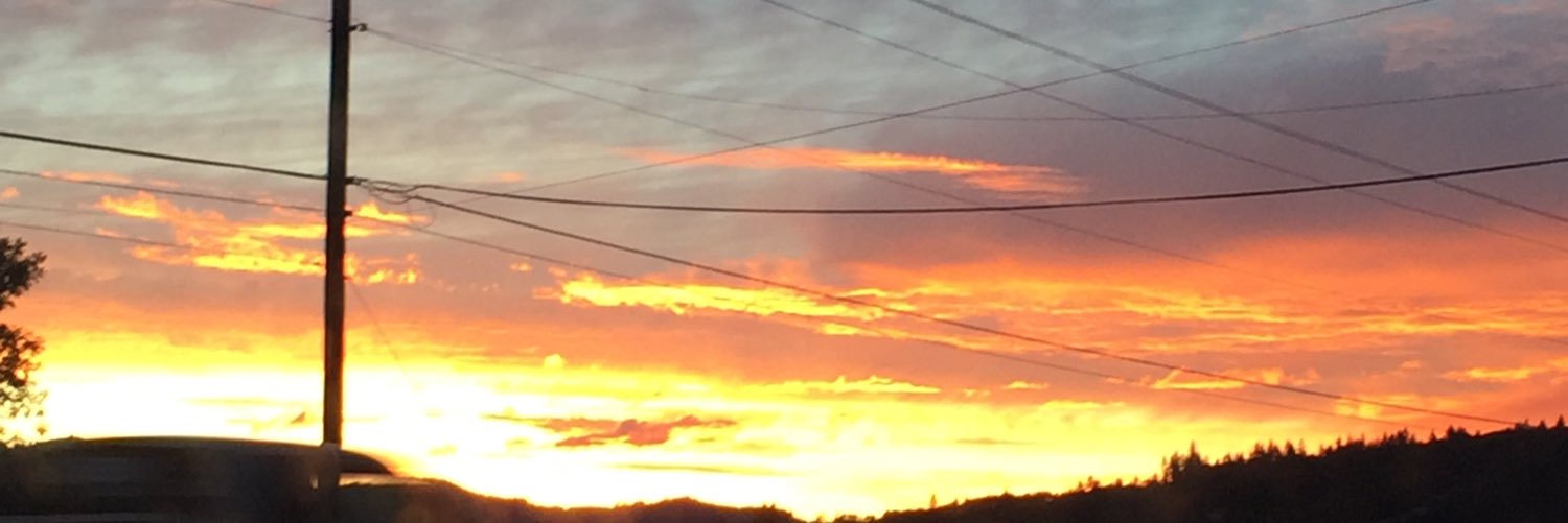 Erin_mclean17's profile banner image