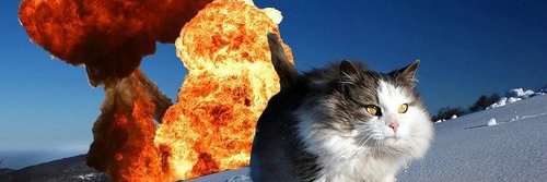 WomanWhoWeaves's profile banner image