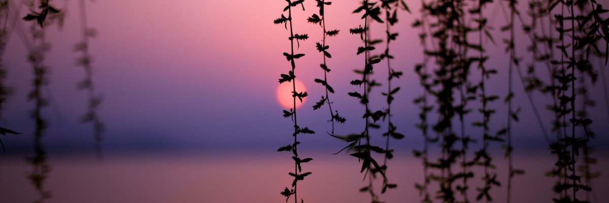 Se_Zasev's profile banner image