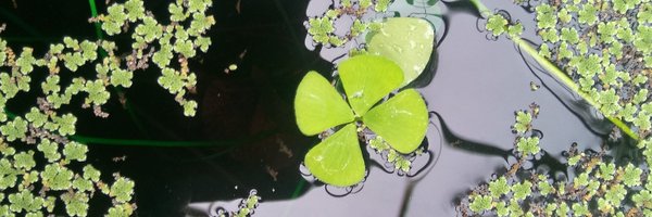 kmiba Profile Banner