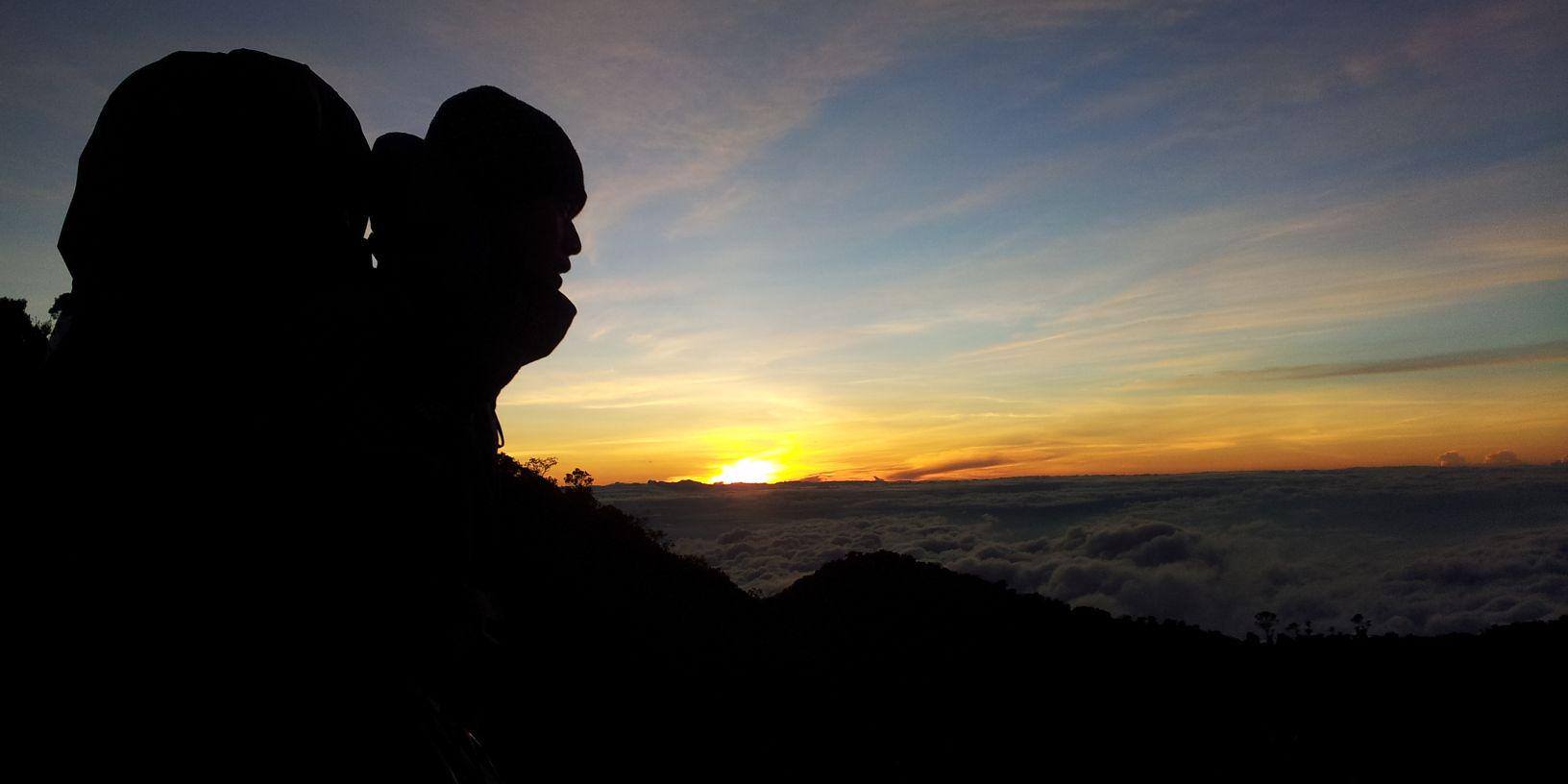 alamnice's profile banner image