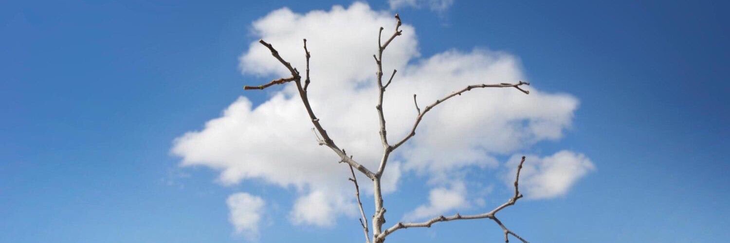 4 banner