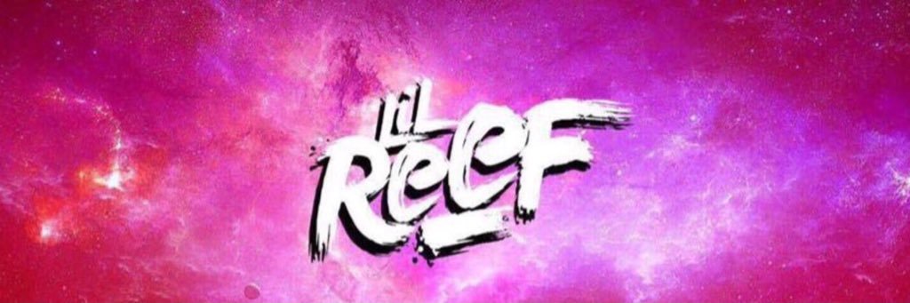 Lil Reef 🦉💜 banner