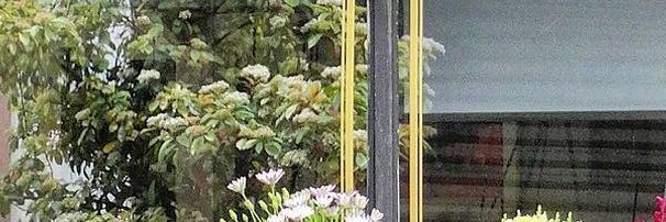 npansanhai's profile banner image