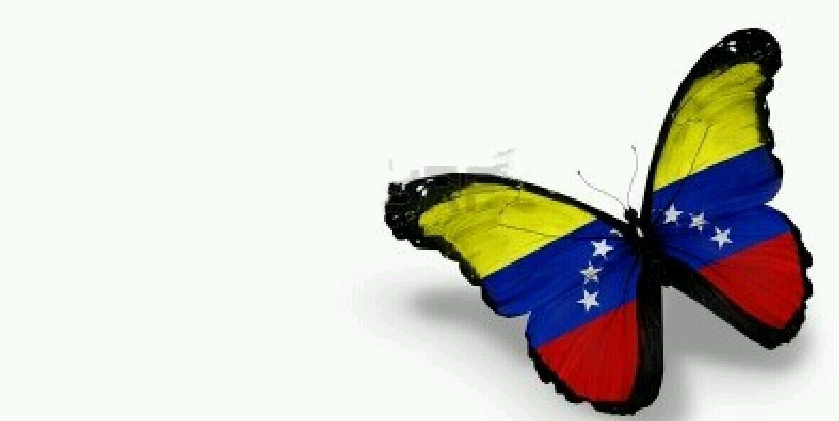 CaroIsaura's profile banner image