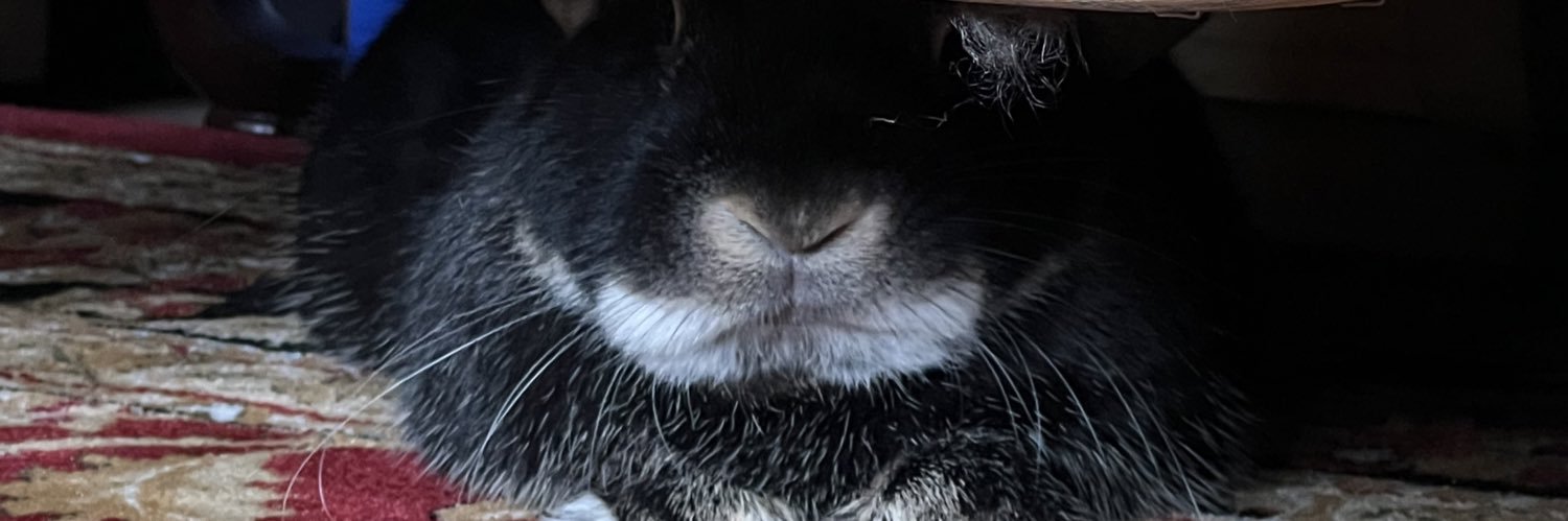 namiceci's profile banner image