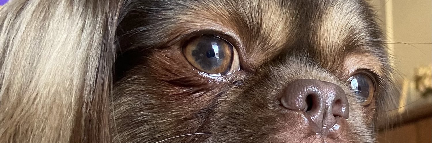 vitorconstant's profile banner image