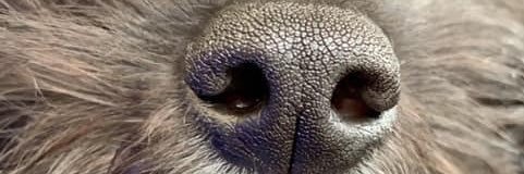 Sumi_Mars's profile banner image
