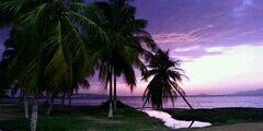 jormanalberto1's profile banner image