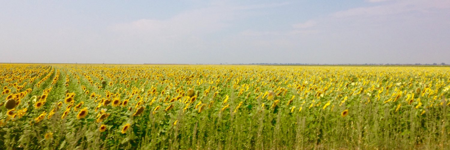 Jones_HannahL's profile banner image