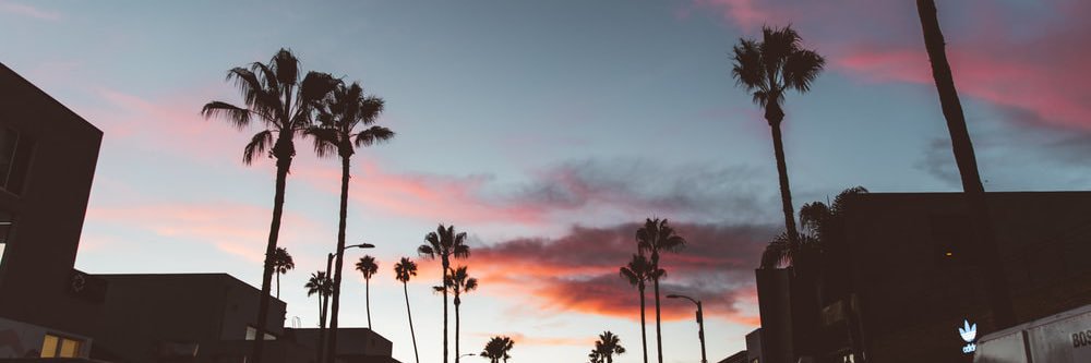 WinnieChenn's profile banner image