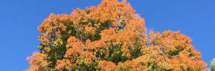 molly_stern's profile banner image