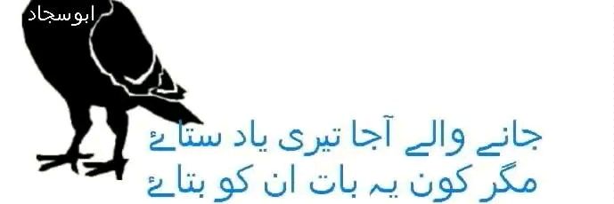 ابوسجاد🇵🇰 banner