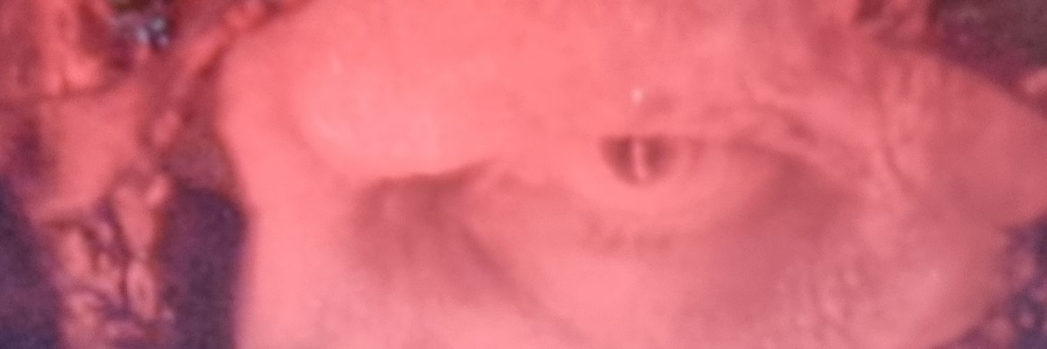 Paul Danslow banner