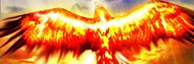 1kavman's profile banner image