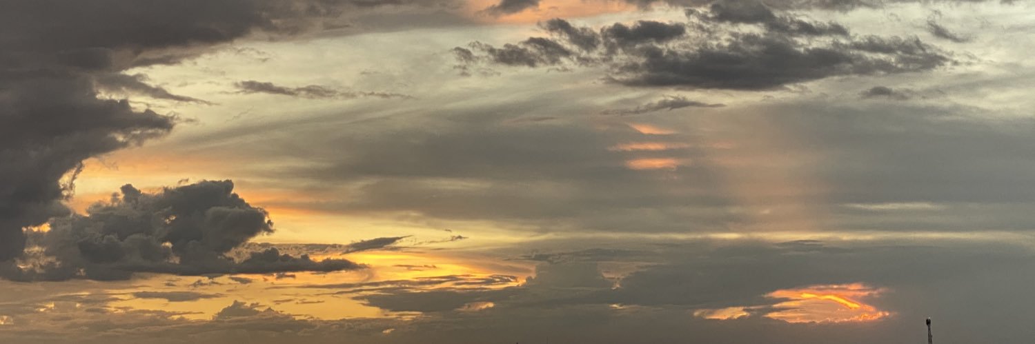 shalle Abdi banner