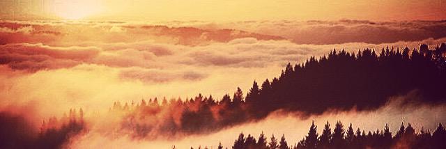 AmorGalaxies95's profile banner image