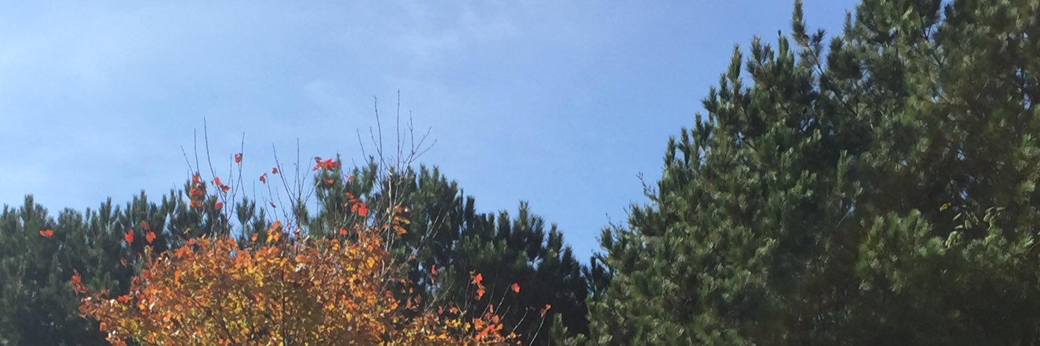 Meech423's profile banner image