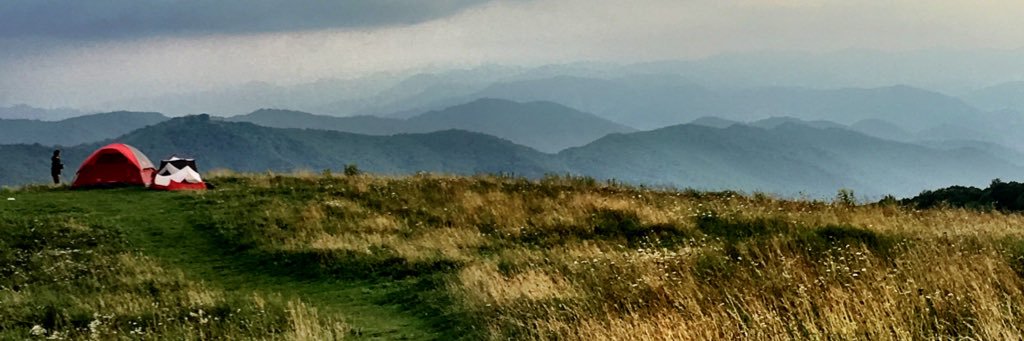Sarah Scott banner