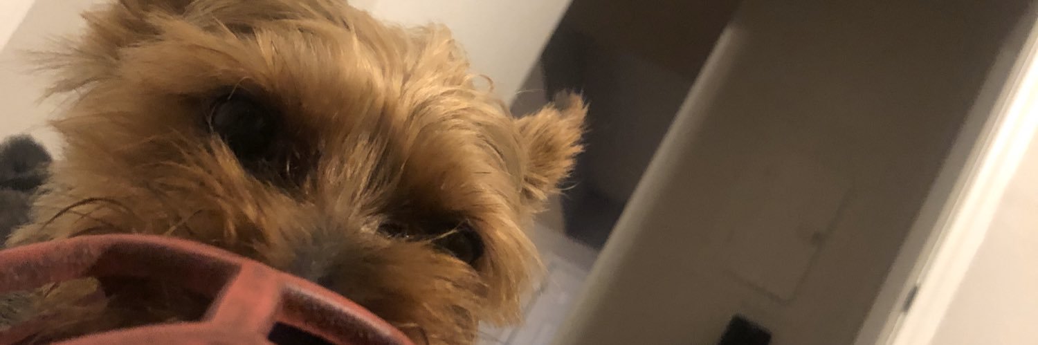Bigpimpin_DM's profile banner image