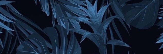 ___Wally___'s profile banner image
